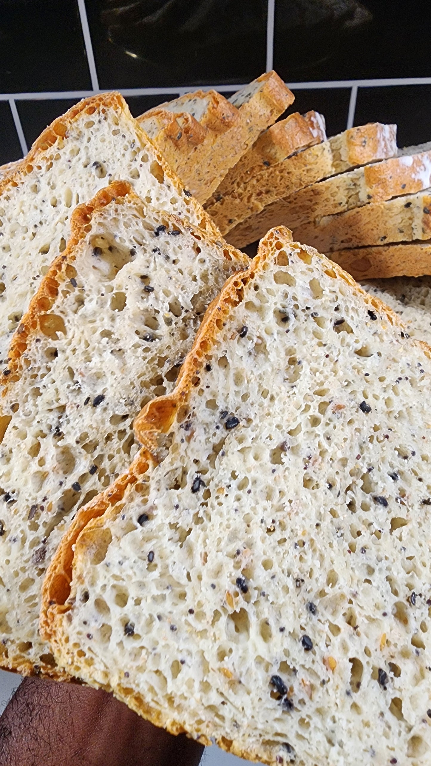 Protein breads